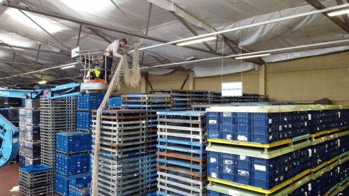 staubdichte Dachsanierung