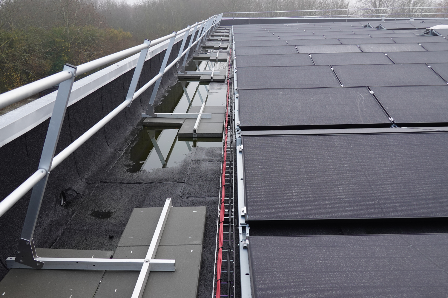 Elegast & Protector Guardrail schließen sich zusammen!